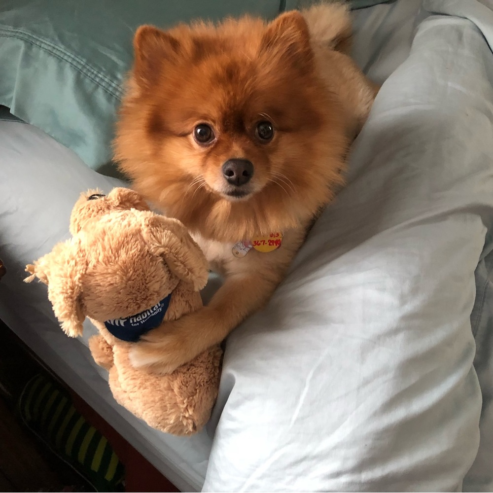 Meet your Posher, Posh I love clothes, bright colors, unique fines, well-made!